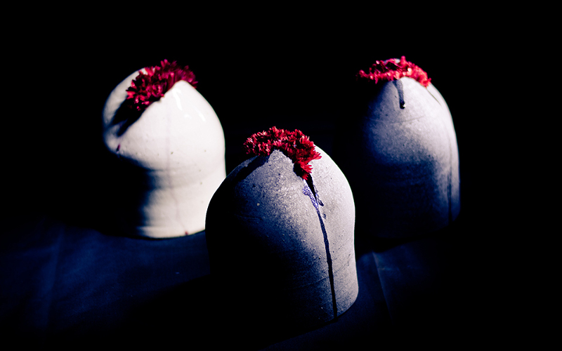 Experimental ikebana photography
